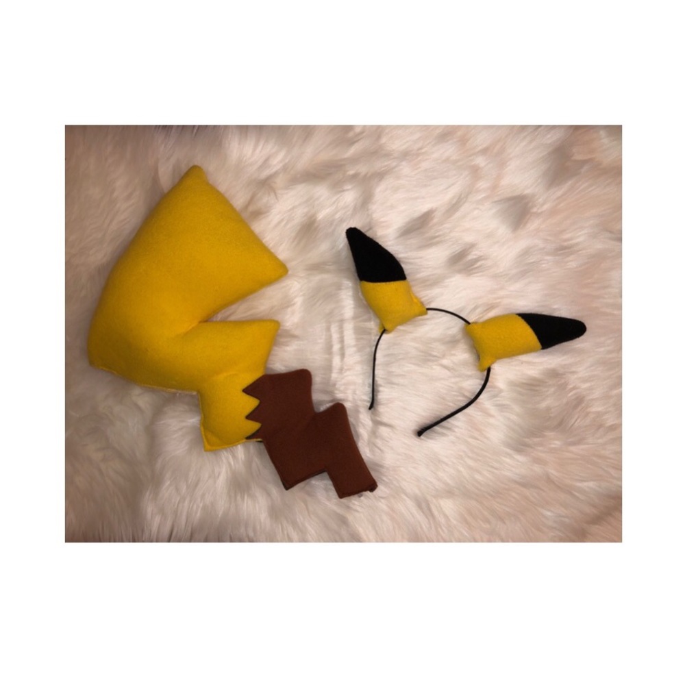 Pokémon Costume